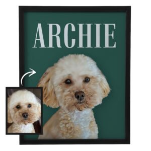 kuvajuliste omasta kuvasta